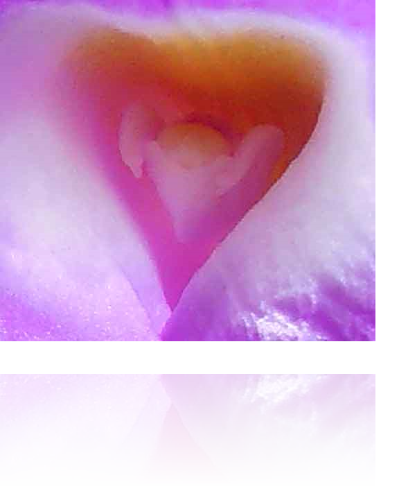 Austin Prints For Sale