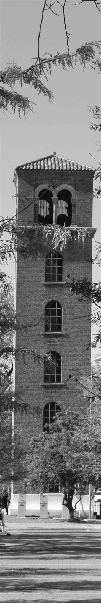 Art Store for Prints in Austin Texas