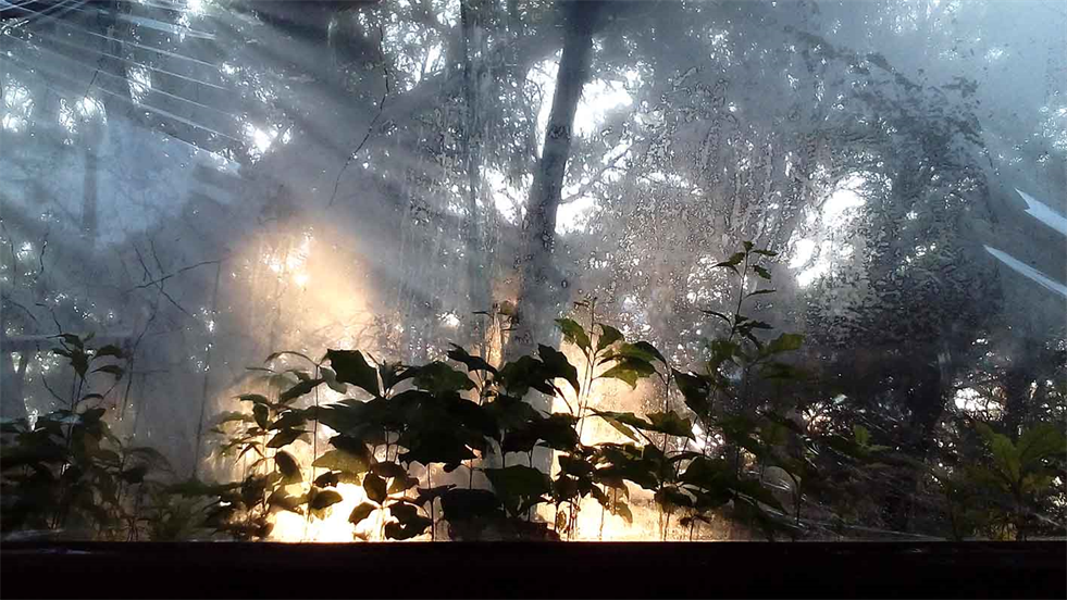 Fine Art in Austin Texas For Sale.