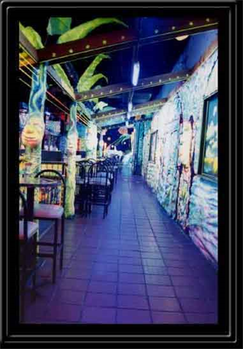 Austin Art Gallery,
Fine Art Gallery,
Austin Texas